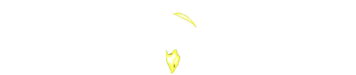 SHOPKAYNOOB.COM